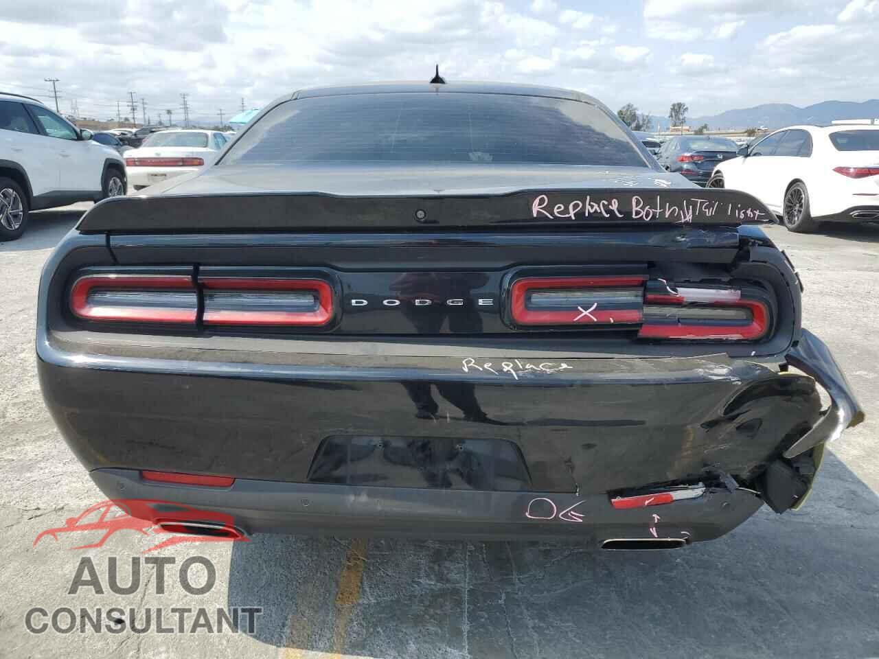 DODGE CHALLENGER 2019 - 2C3CDZAG3KH729226