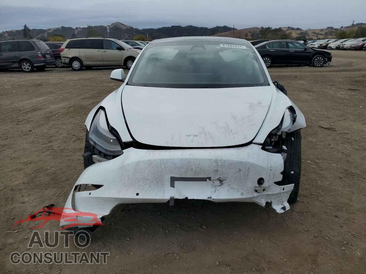 TESLA MODEL 3 2021 - 5YJ3E1EA3MF990803