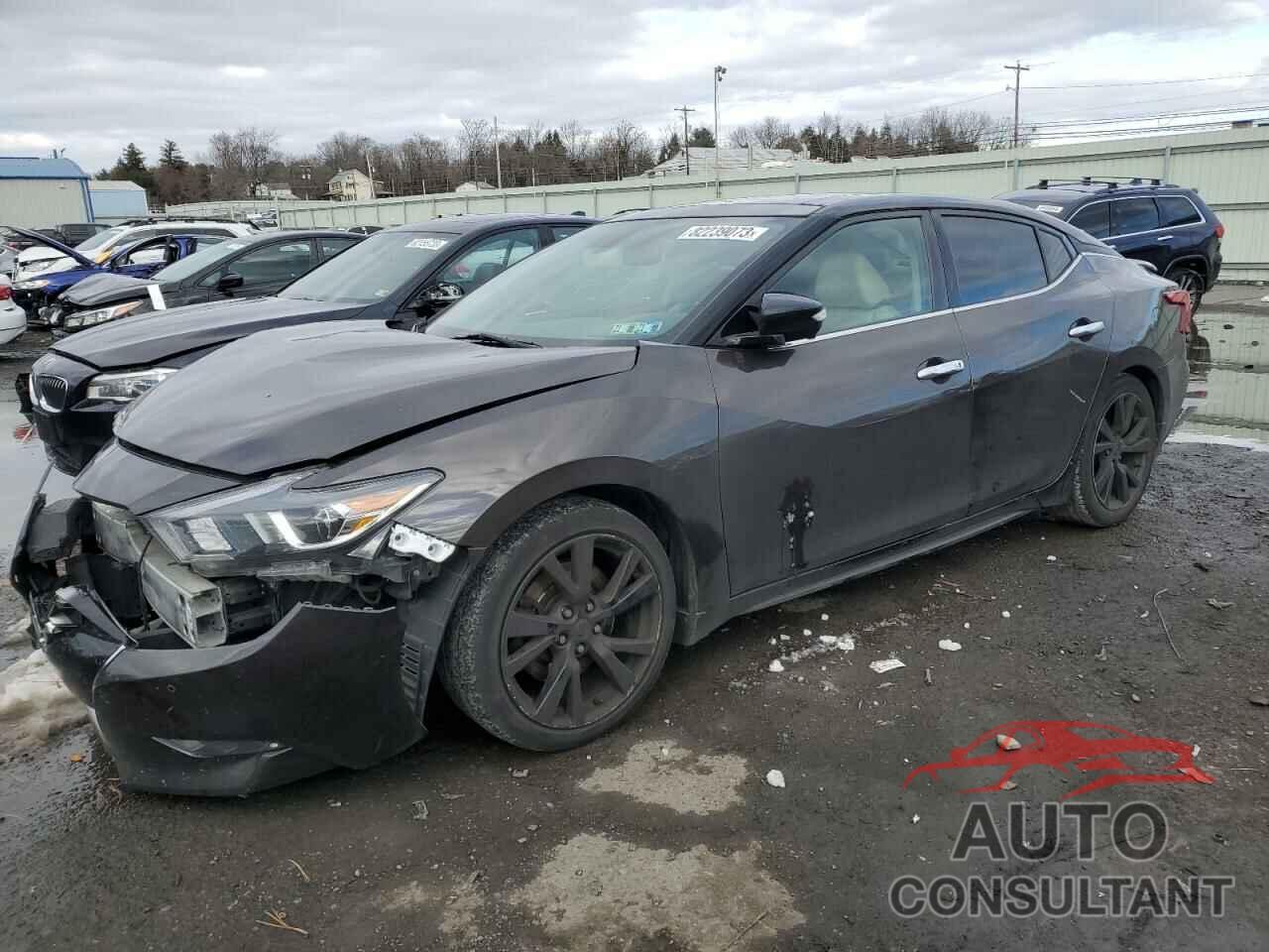 NISSAN MAXIMA 2016 - 1N4AA6APXGC408486