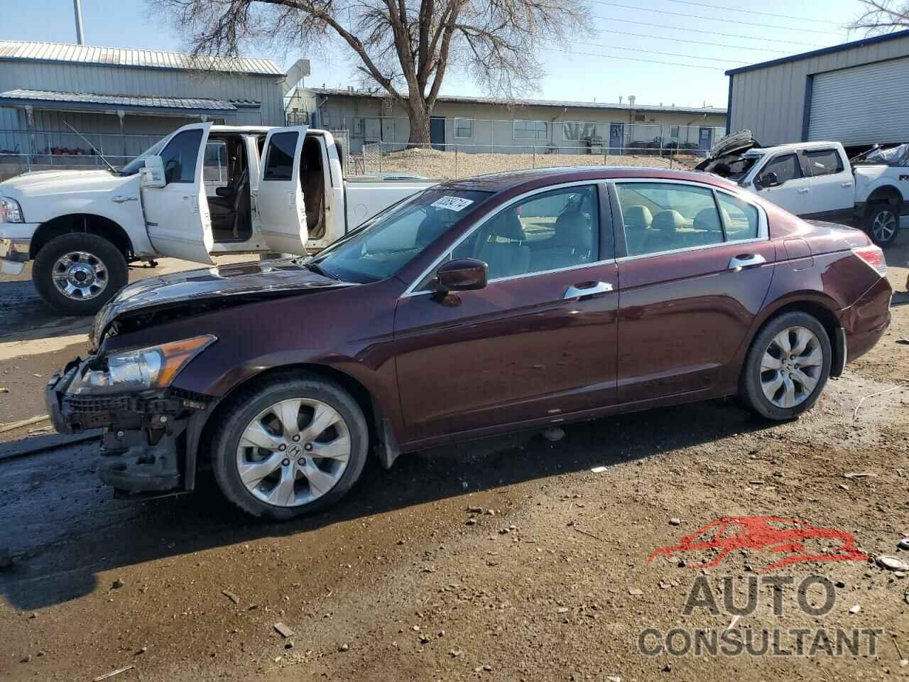 HONDA ACCORD 2010 - 5KBCP3F8XAB010983