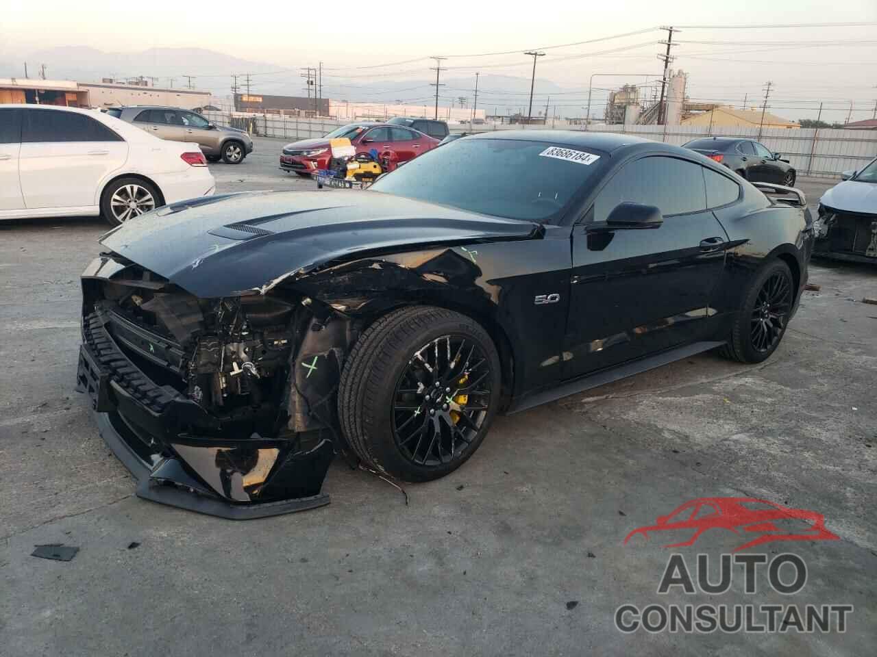 FORD MUSTANG 2019 - 1FA6P8CF2K5175513