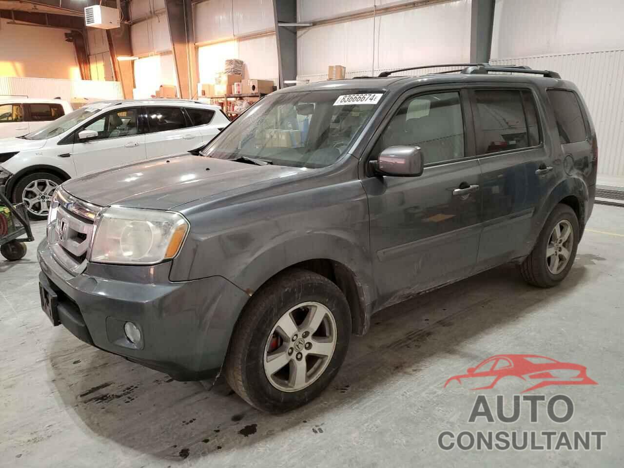 HONDA PILOT 2010 - 5FNYF4H54AB015631