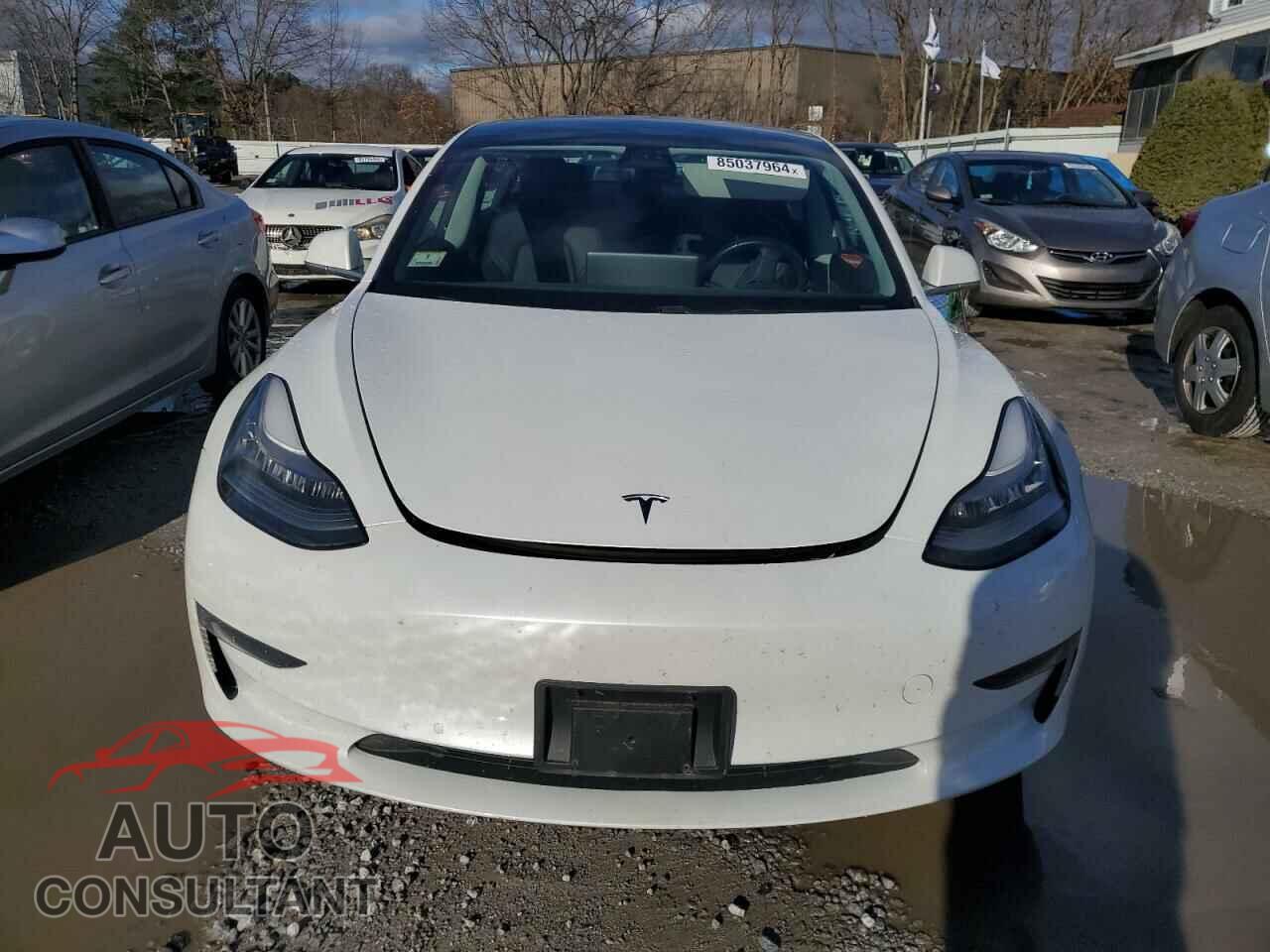TESLA MODEL 3 2019 - 5YJ3E1EB5KF434045