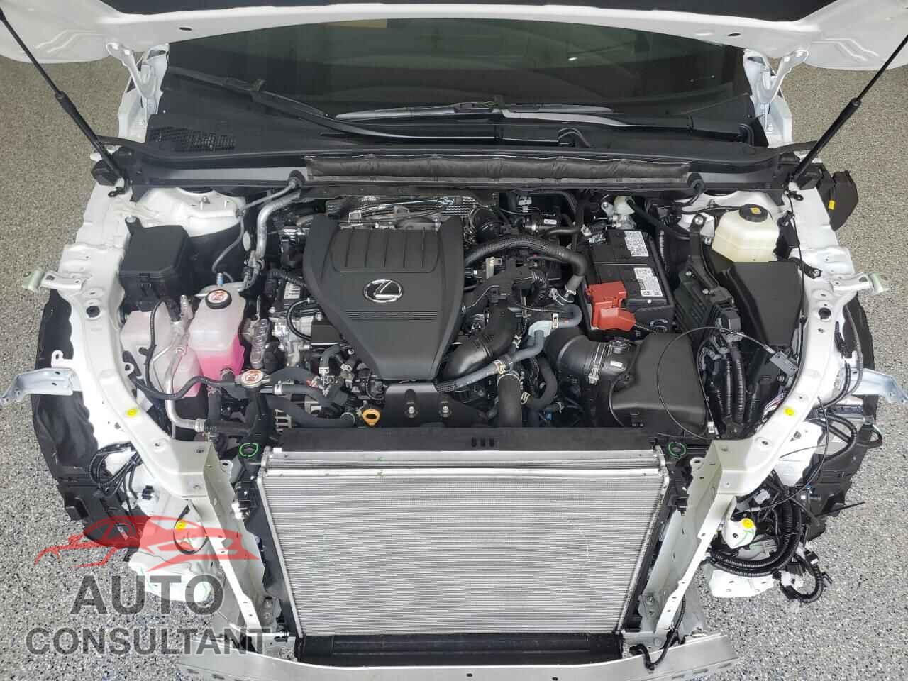 LEXUS RX350 2025 - 2T2BAMCAXSC112357