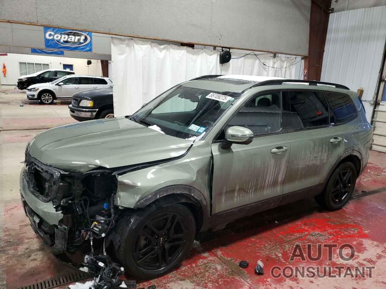 KIA TELLURIDE 2024 - 5XYP3DGC6RG499455