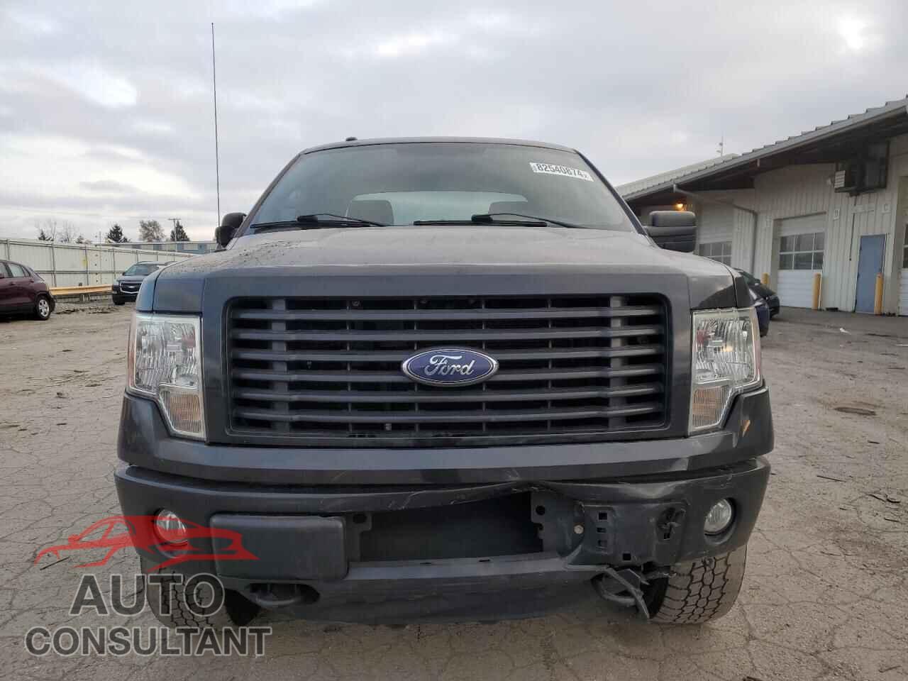 FORD F-150 2014 - 1FTFX1EF5EFD14384