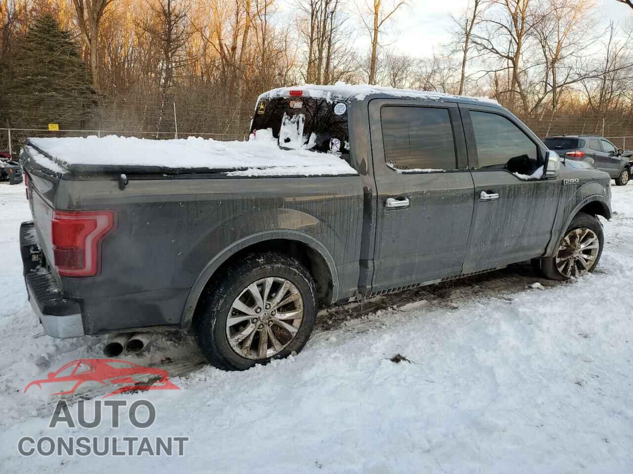 FORD F-150 2015 - 1FTEW1EFXFFD05941