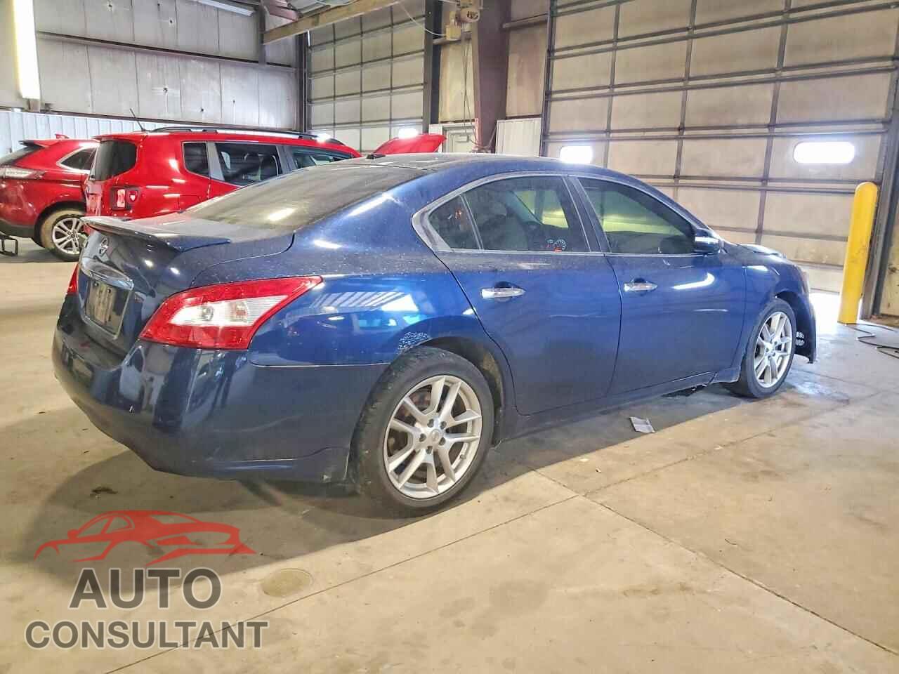 NISSAN MAXIMA 2011 - 1N4AA5AP7BC855005