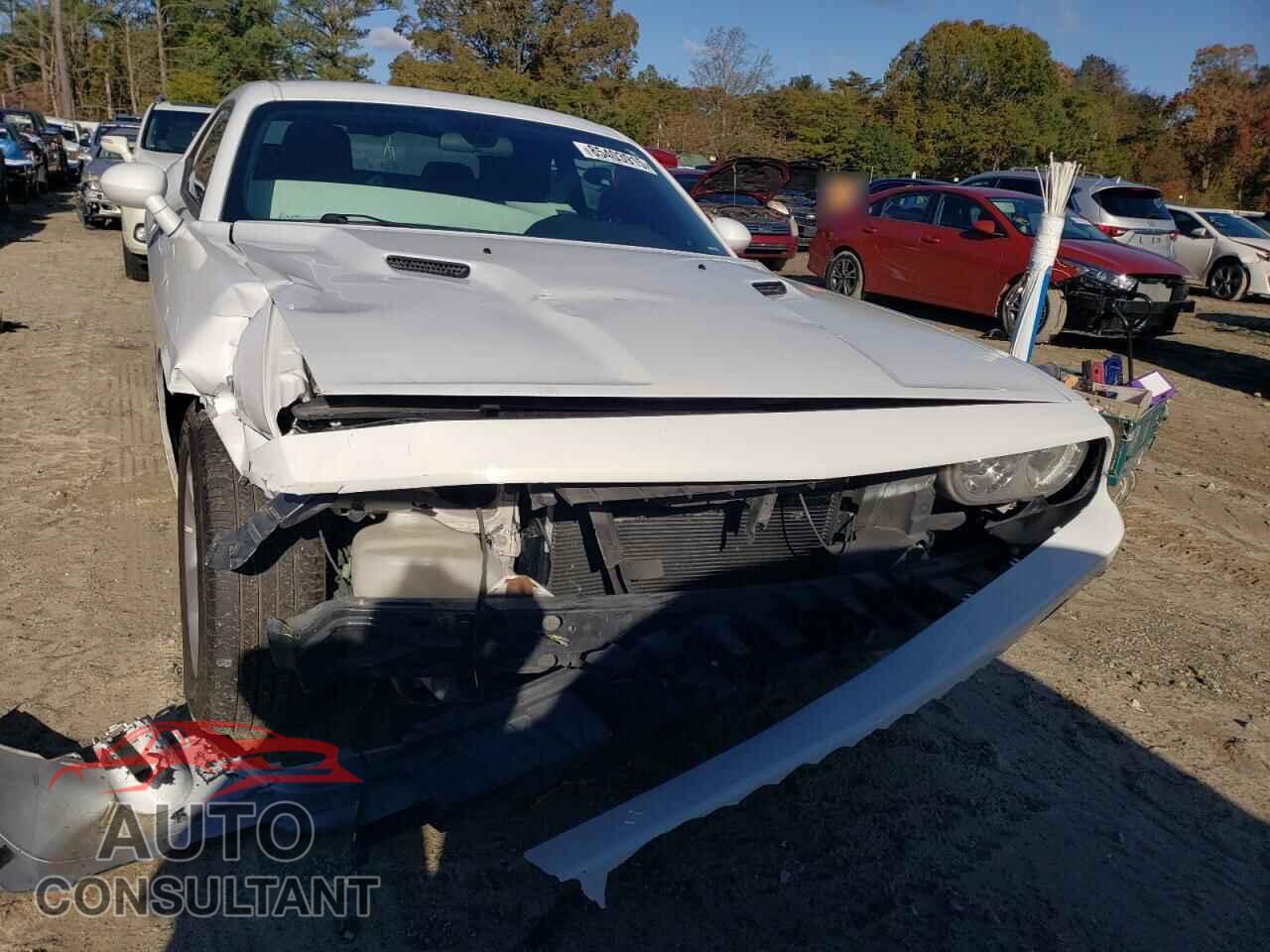 DODGE CHALLENGER 2013 - 2C3CDYAG2DH601072