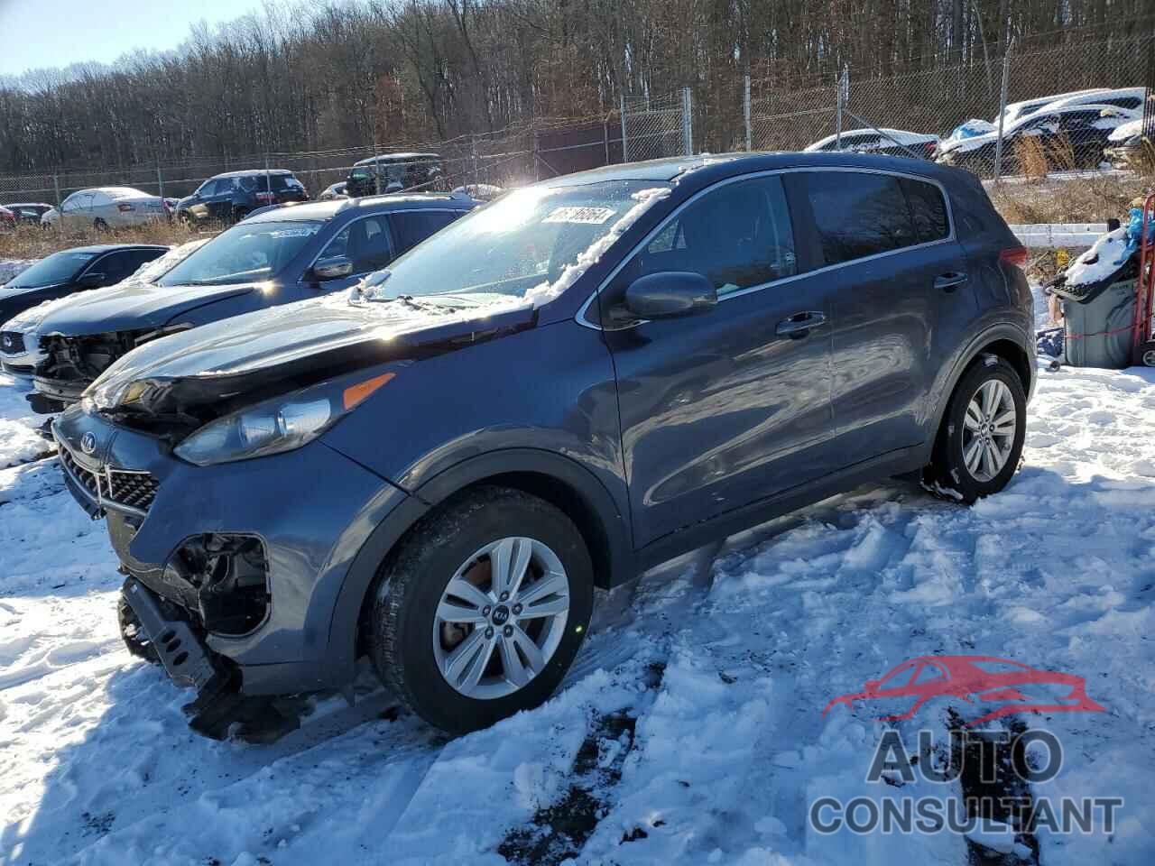 KIA SPORTAGE 2017 - KNDPM3AC8H7233981