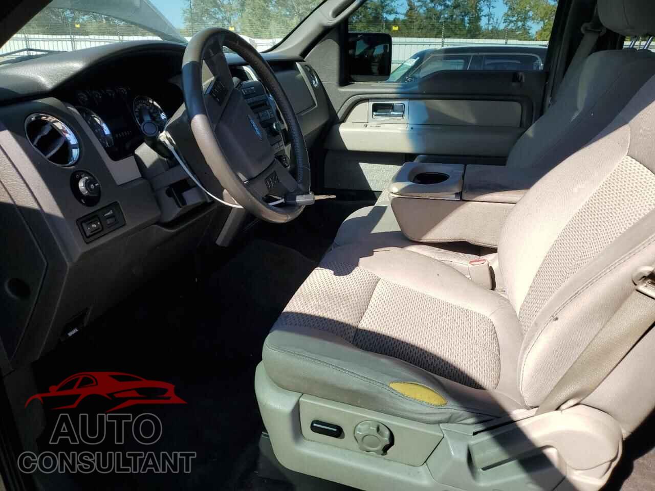 FORD F-150 2010 - 1FTEW1C8XAFD39178