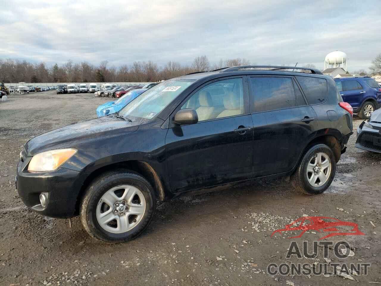 TOYOTA RAV4 2011 - 2T3BF4DV4BW151863