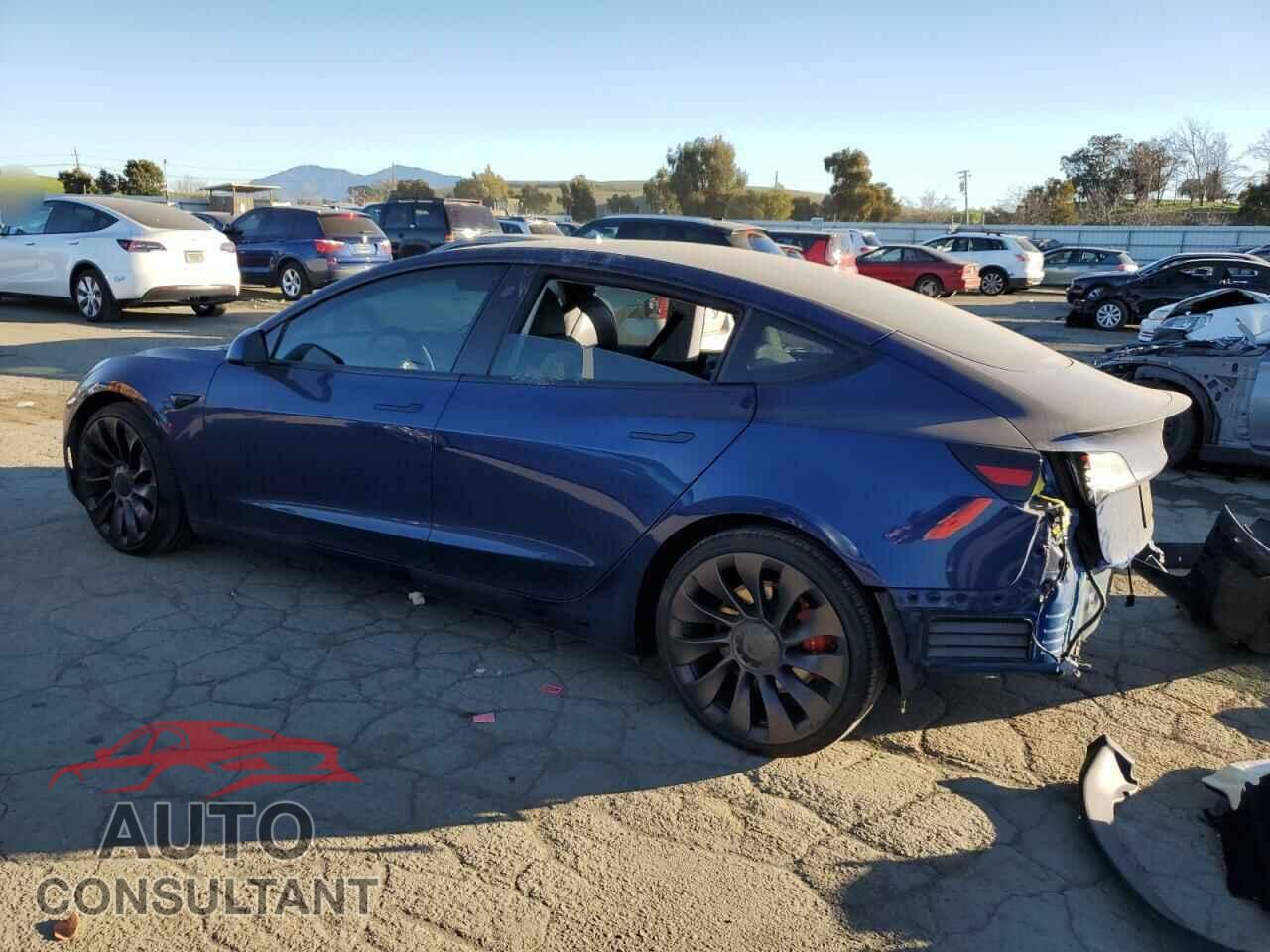 TESLA MODEL 3 2021 - 5YJ3E1EC6MF077048