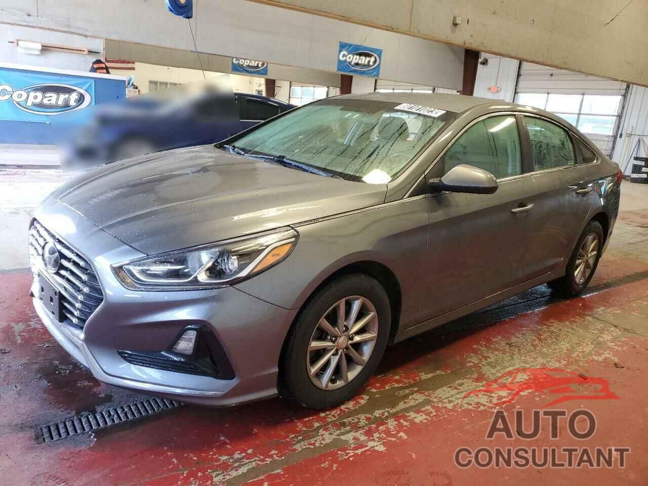 HYUNDAI SONATA 2019 - 5NPE24AFXKH747539
