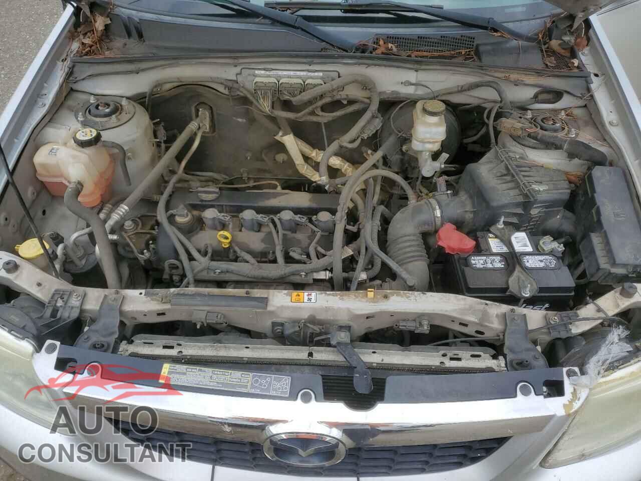 MAZDA TRIBUTE 2011 - 4F2CY0C70BKM06723