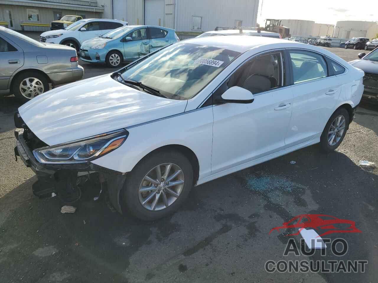 HYUNDAI SONATA 2019 - 5NPE24AF7KH745134