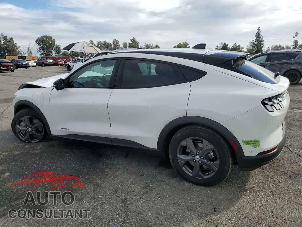 FORD MUSTANG 2023 - 3FMTK1RMXPMA46022