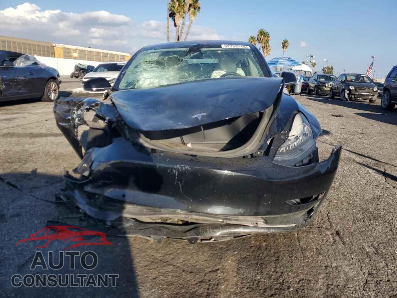 TESLA MODEL 3 2019 - 5YJ3E1EA1KF302097