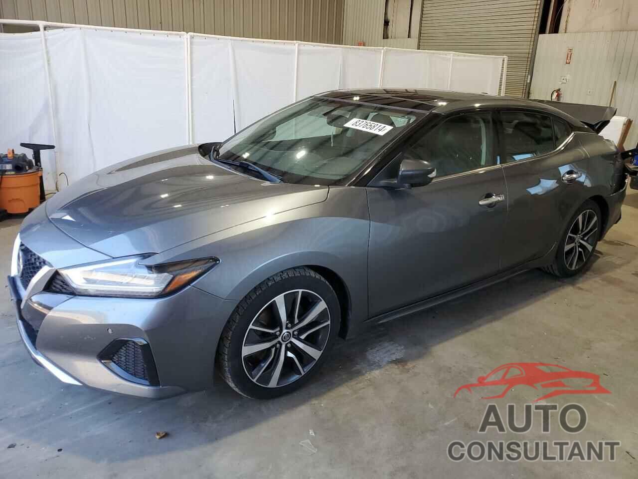 NISSAN MAXIMA 2019 - 1N4AA6AV7KC369976