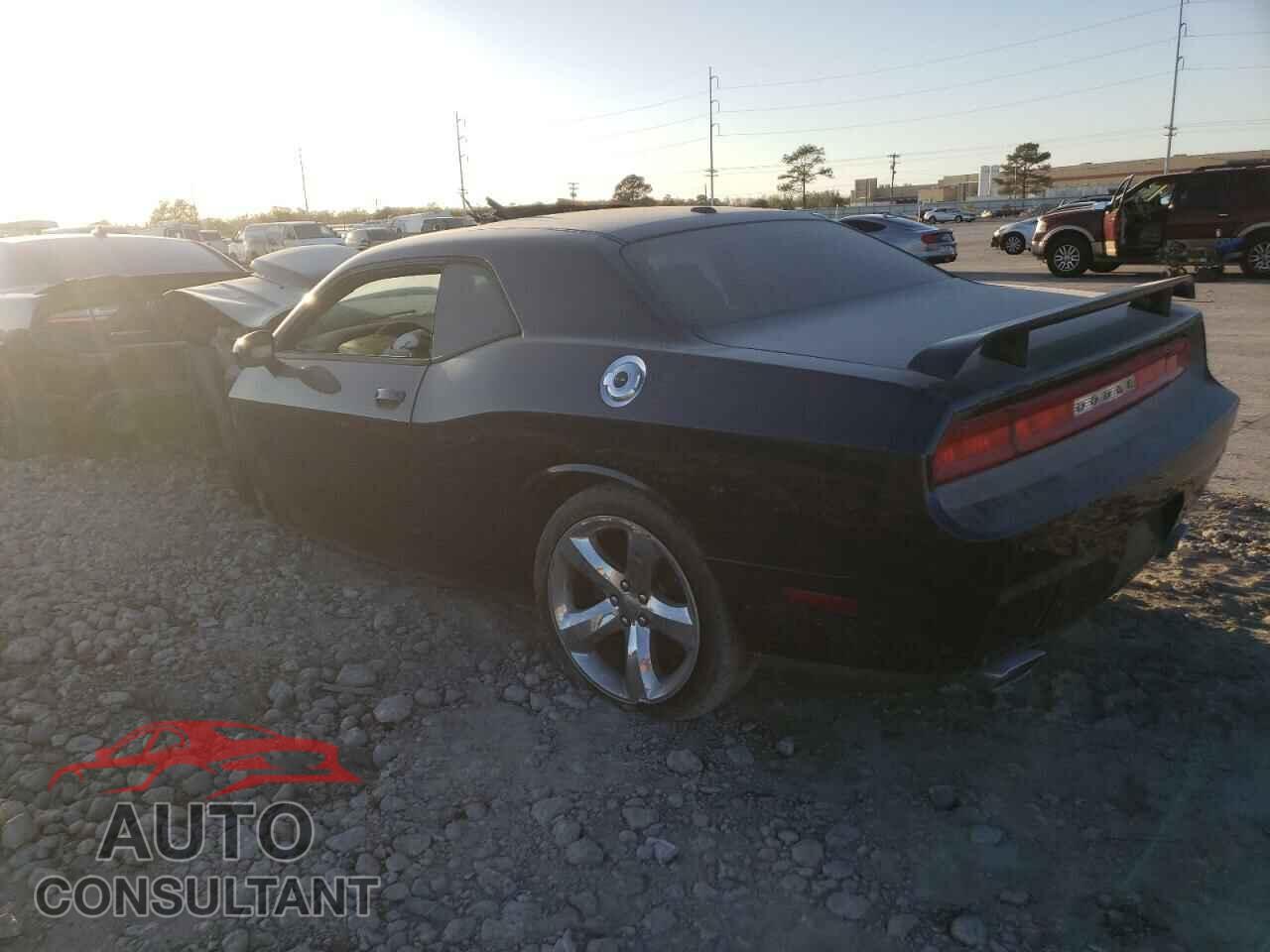 DODGE CHALLENGER 2013 - 2C3CDYBT1DH708951