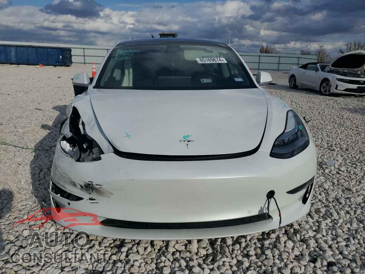 TESLA MODEL 3 2019 - 5YJ3E1EB8KF387920