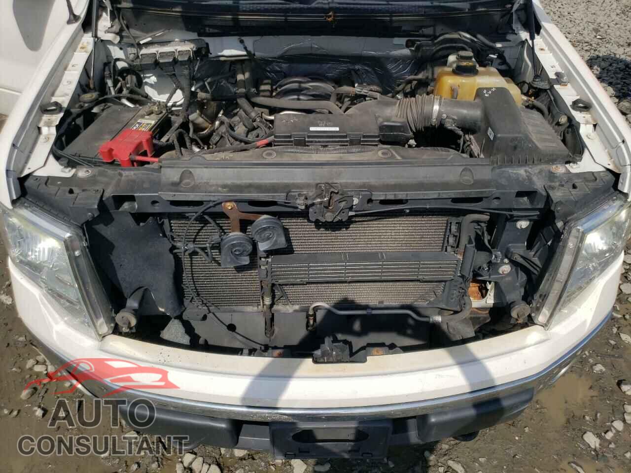 FORD F-150 2013 - 1FTFW1EF4DFD88509