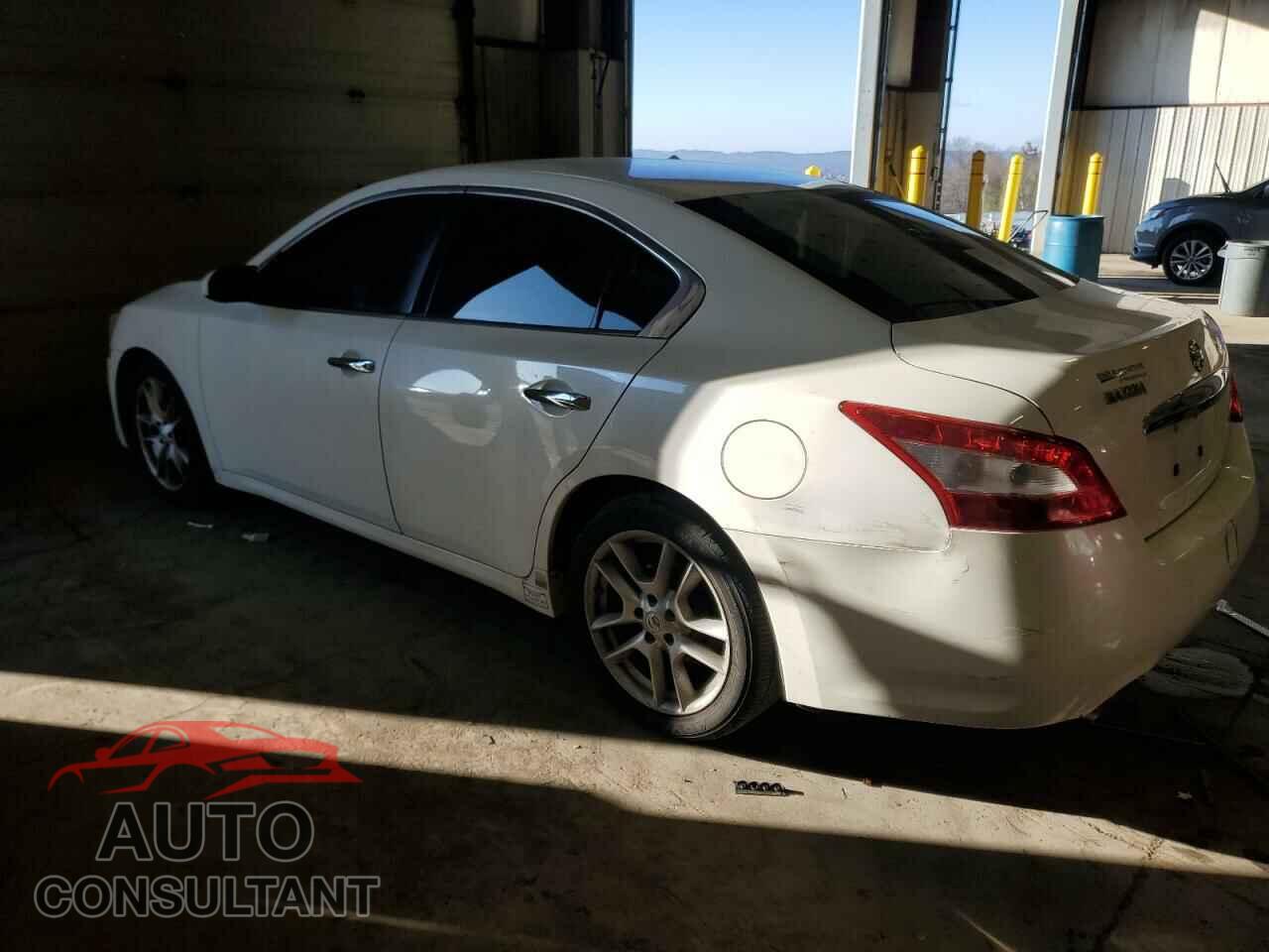 NISSAN MAXIMA 2011 - 1N4AA5AP1BC819987