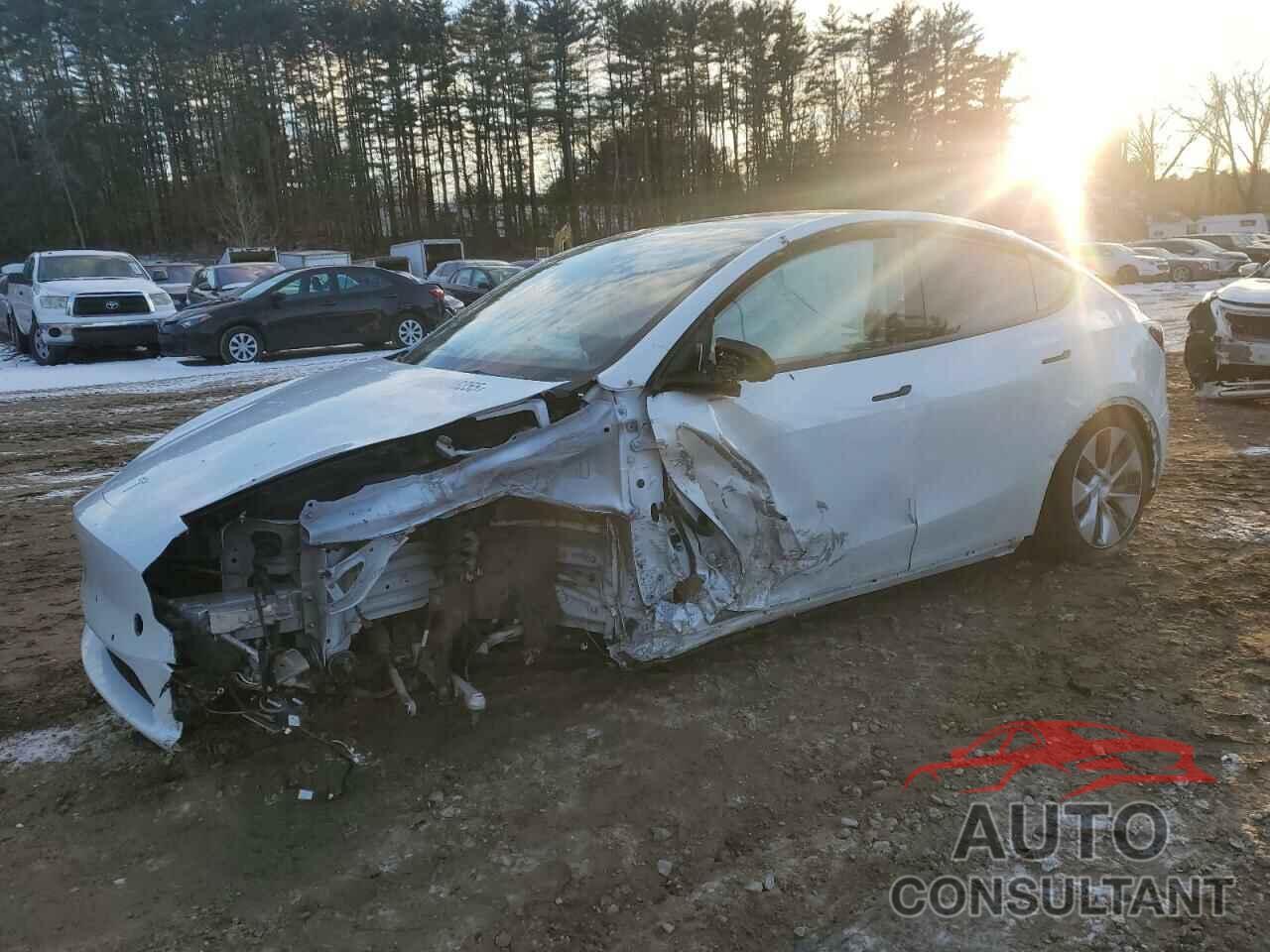 TESLA MODEL Y 2022 - 7SAYGDEEXNF319766