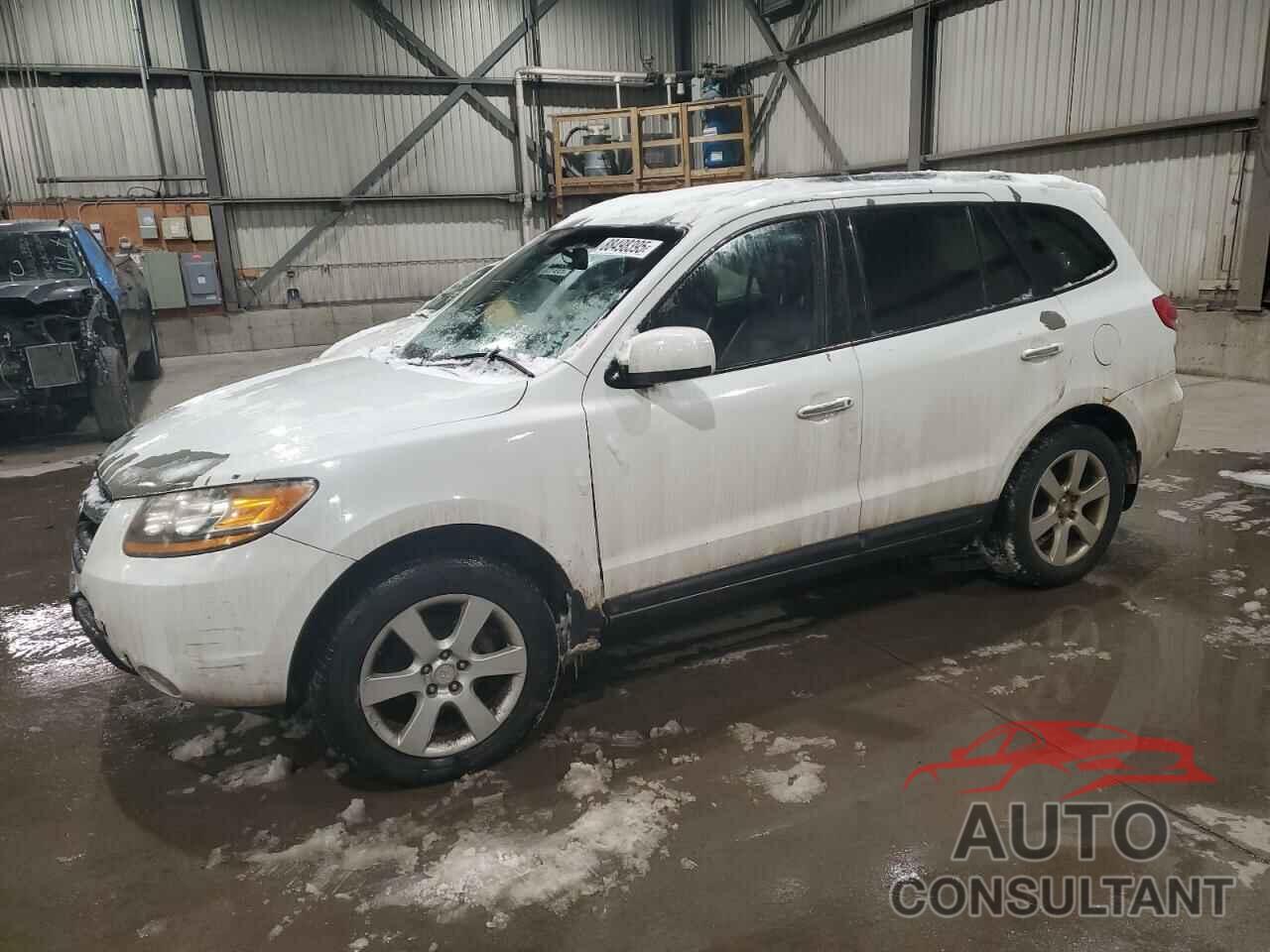 HYUNDAI SANTA FE 2009 - 5NMSH73E59H265558
