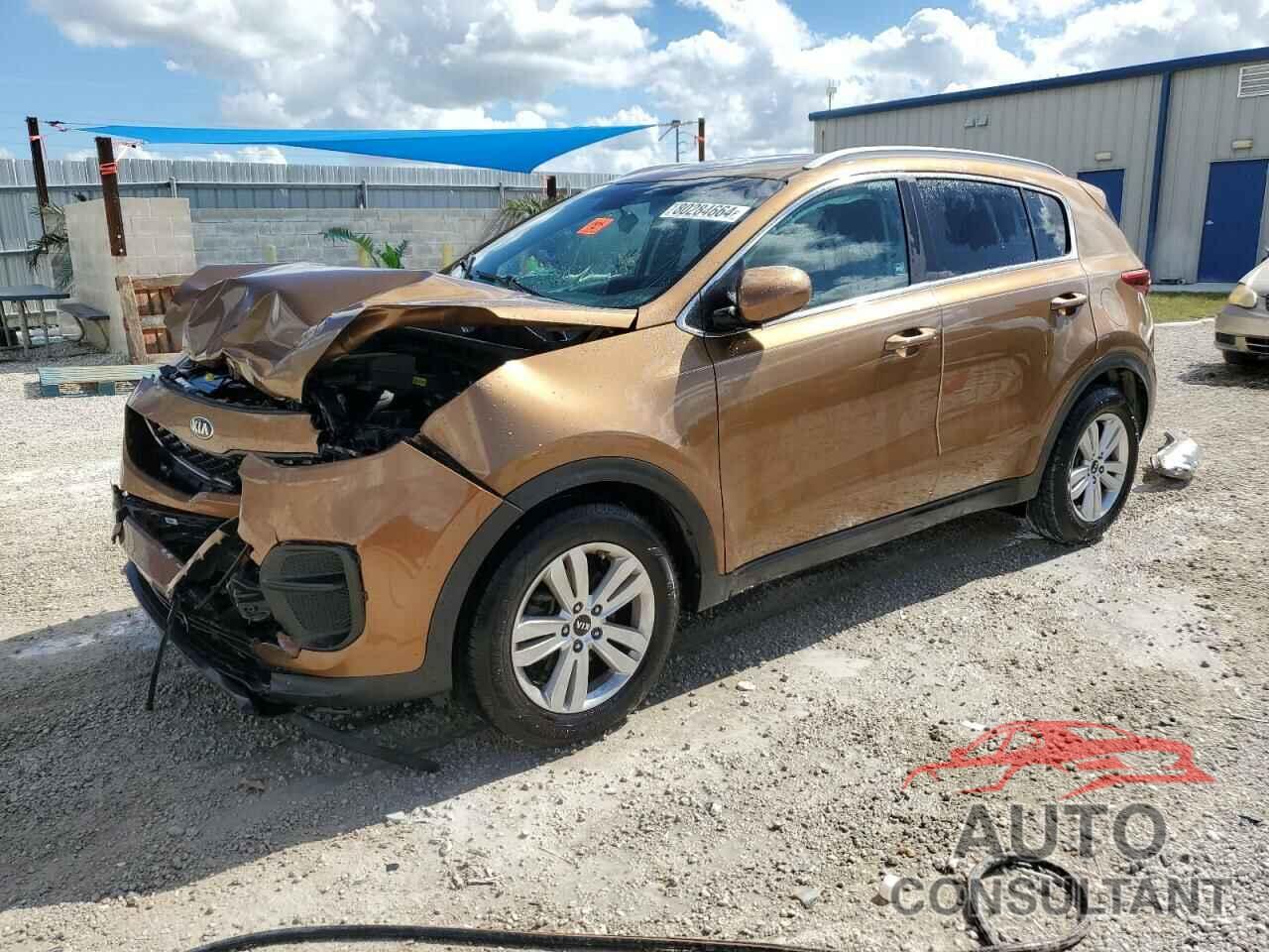 KIA SPORTAGE 2017 - KNDPM3AC1H7149159