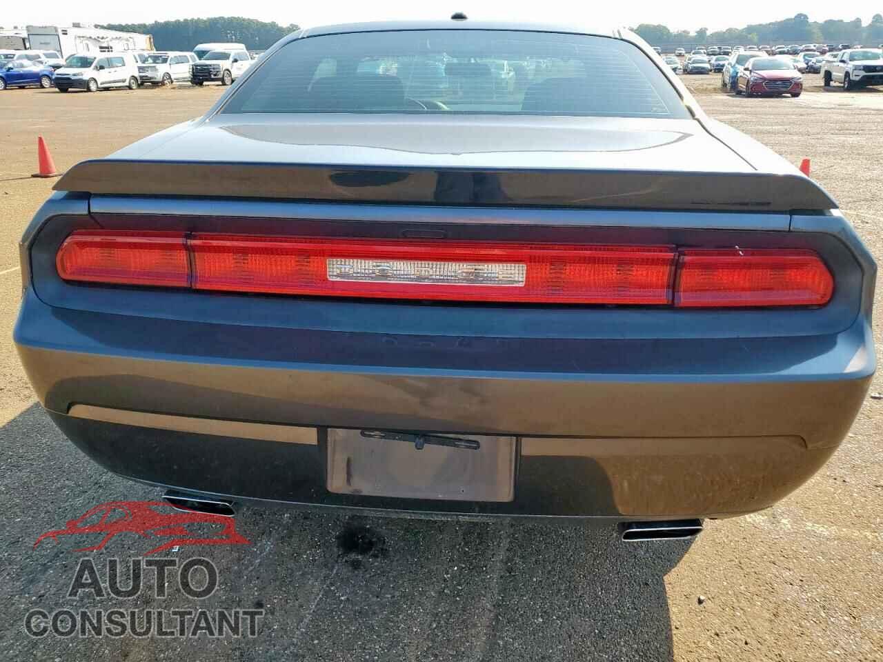 DODGE CHALLENGER 2014 - 2C3CDYAG7EH133227