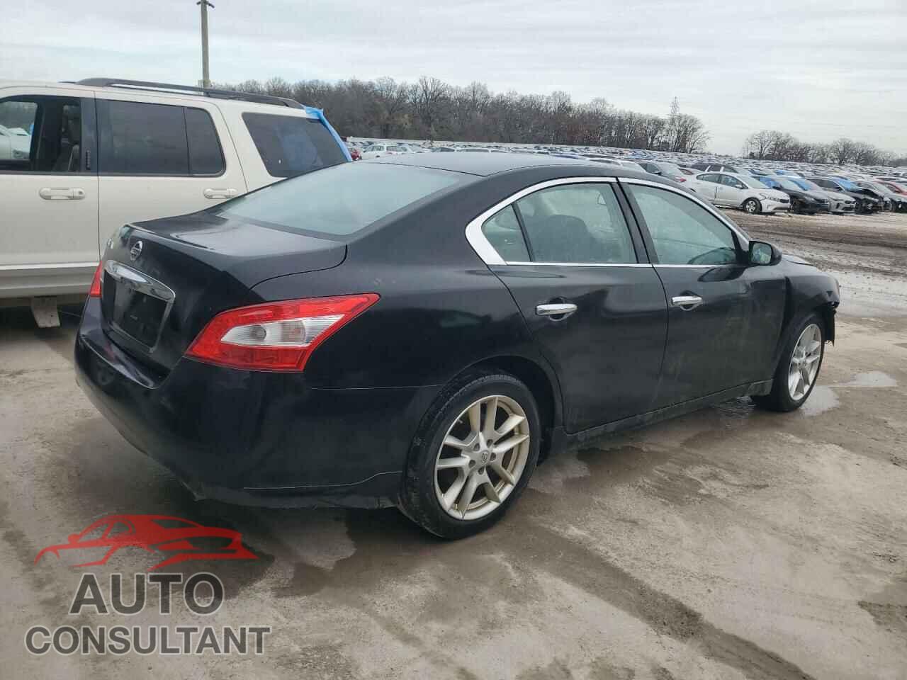 NISSAN MAXIMA 2011 - 1N4AA5AP1BC846199