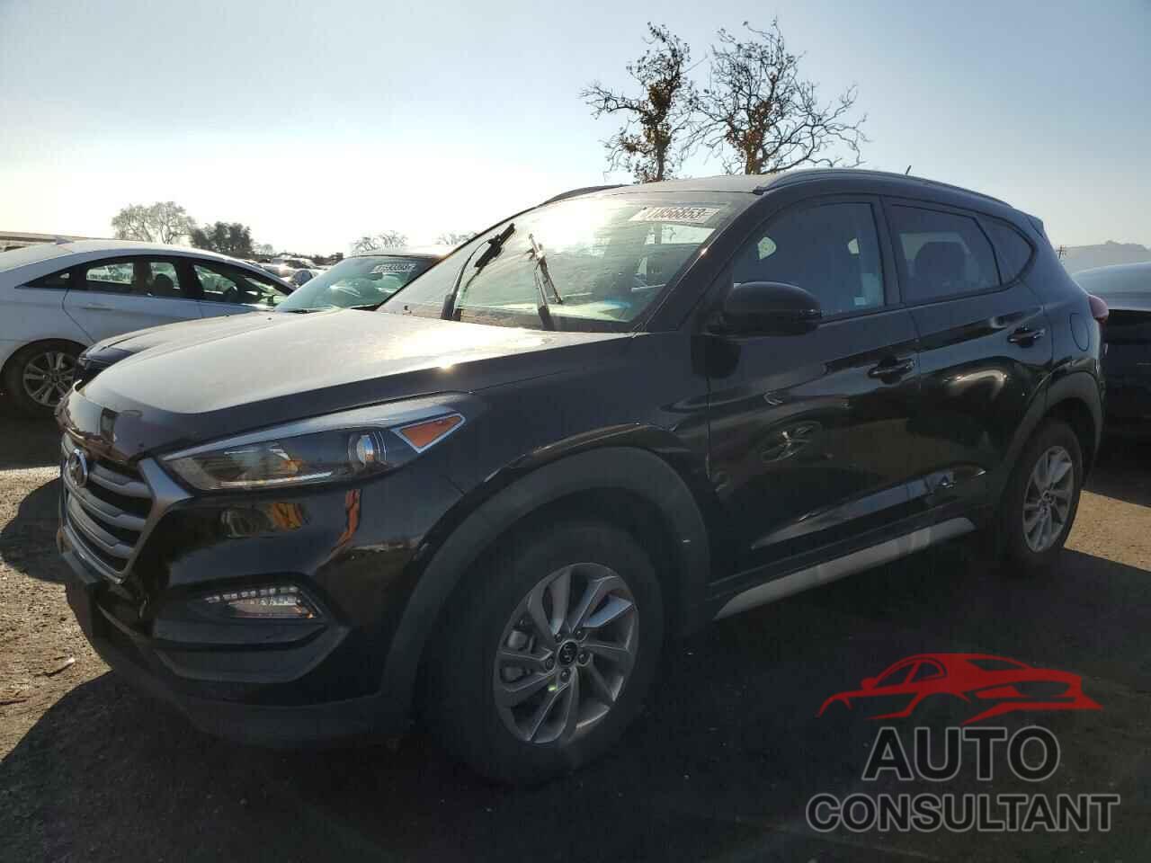 HYUNDAI TUCSON 2017 - KM8J33A43HU586997