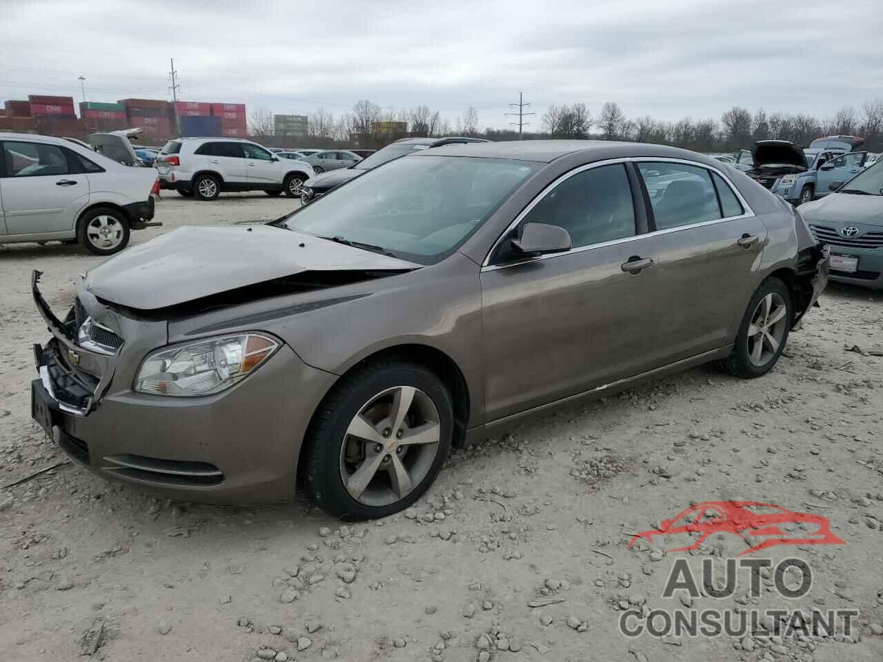 CHEVROLET MALIBU 2011 - 1G1ZC5E10BF373061