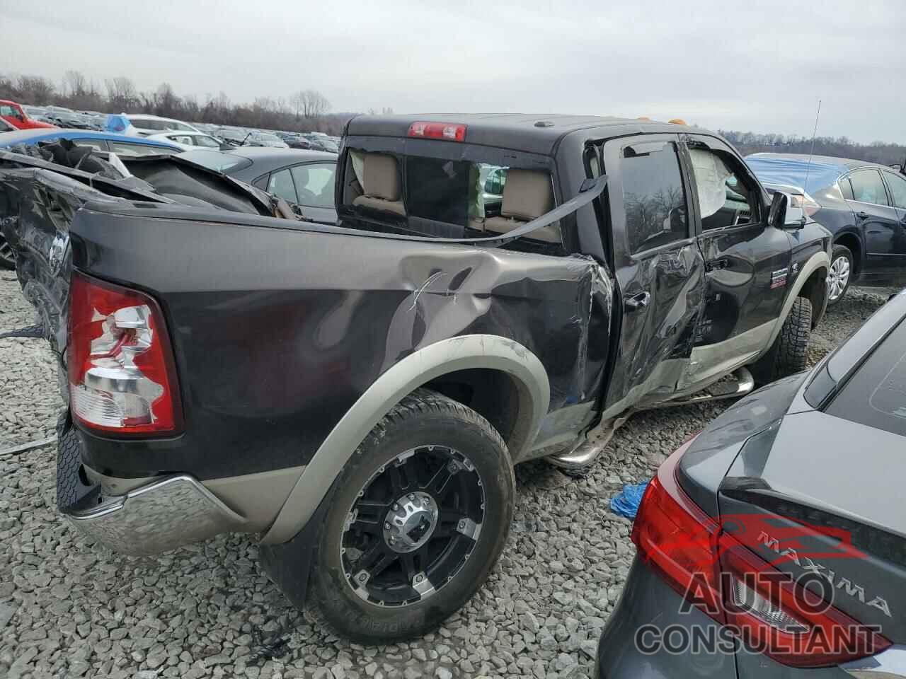 DODGE All Models 2011 - 3D7UT2CL3BG609386