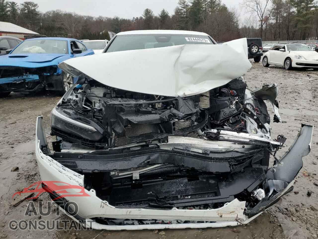 HONDA CIVIC 2023 - 2HGFE2F51PH558649
