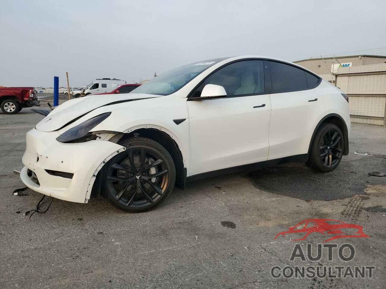 TESLA MODEL Y 2021 - 5YJYGDEE2MF202839