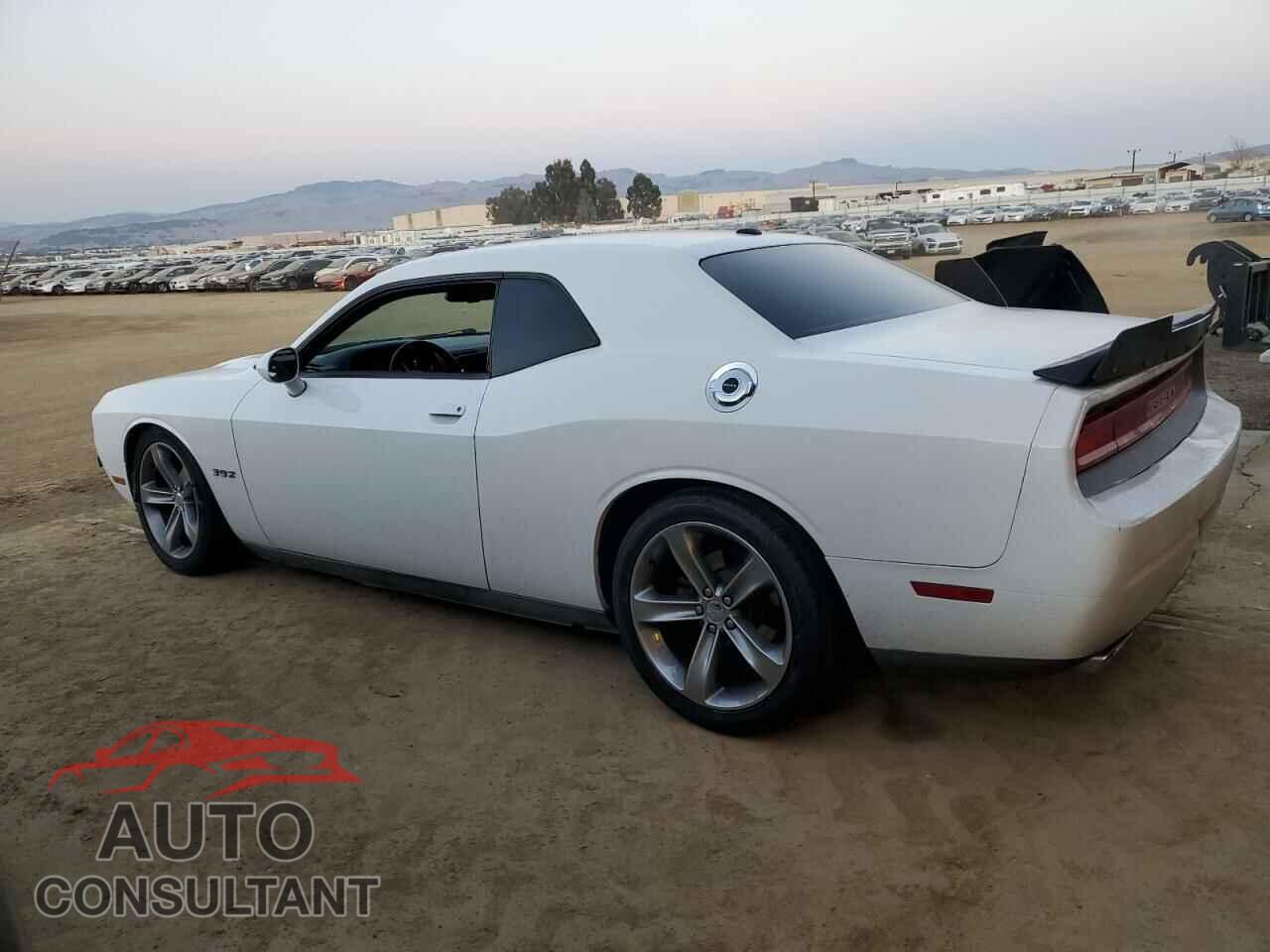 DODGE CHALLENGER 2013 - 2C3CDYAG3DH540315