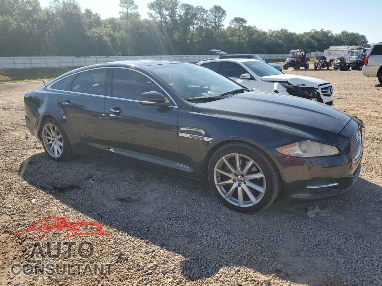 JAGUAR XJ 2011 - SAJWA1CB1BLV14534