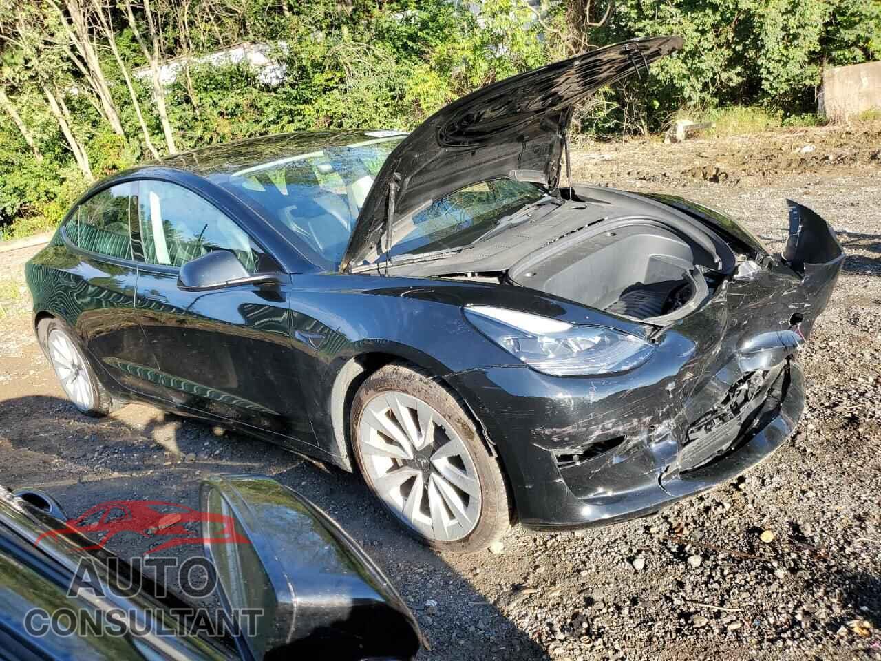 TESLA MODEL 3 2023 - 5YJ3E1EA8PF435429