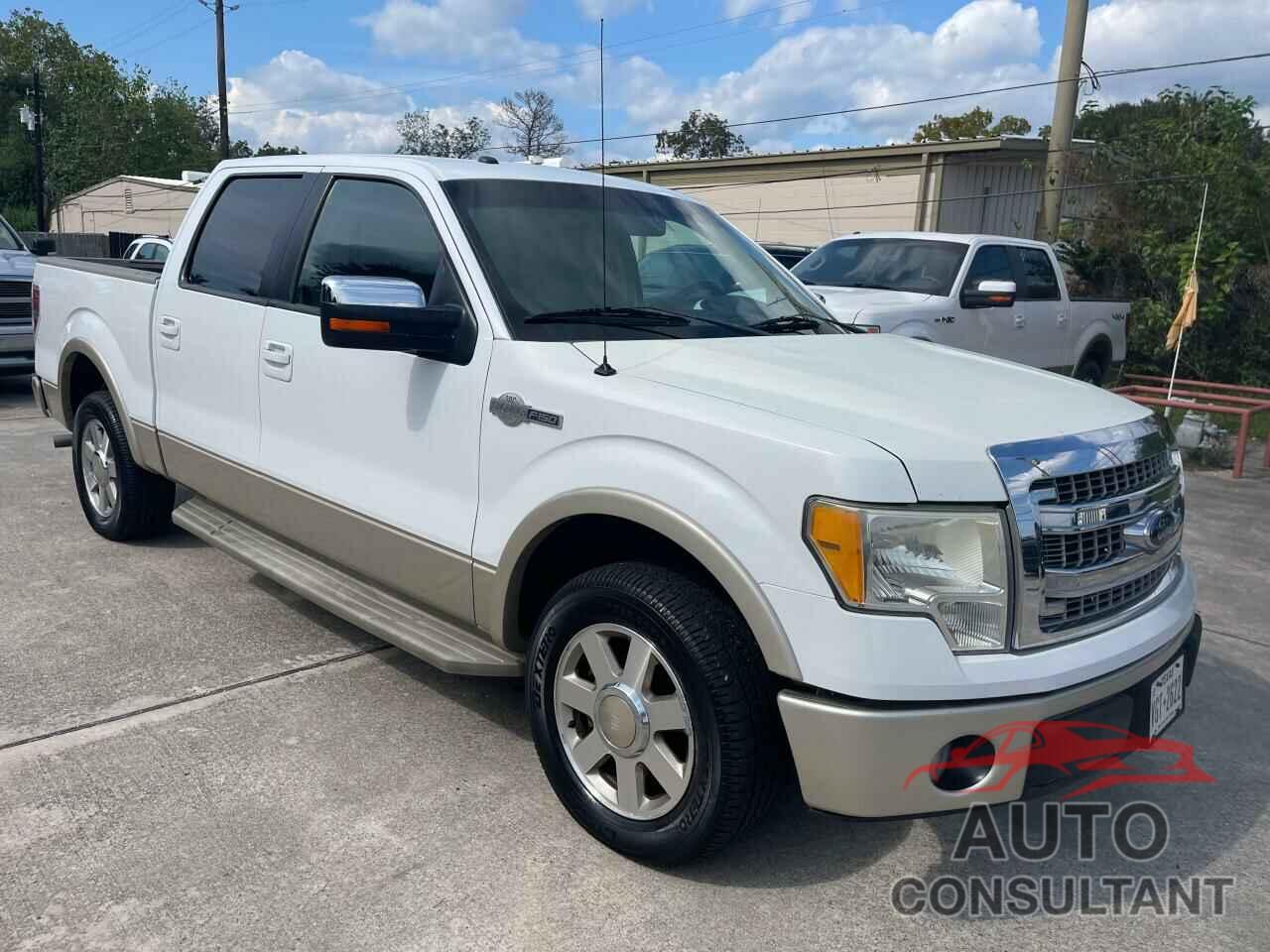 FORD F-150 2010 - 1FTFW1CV7AKE14341