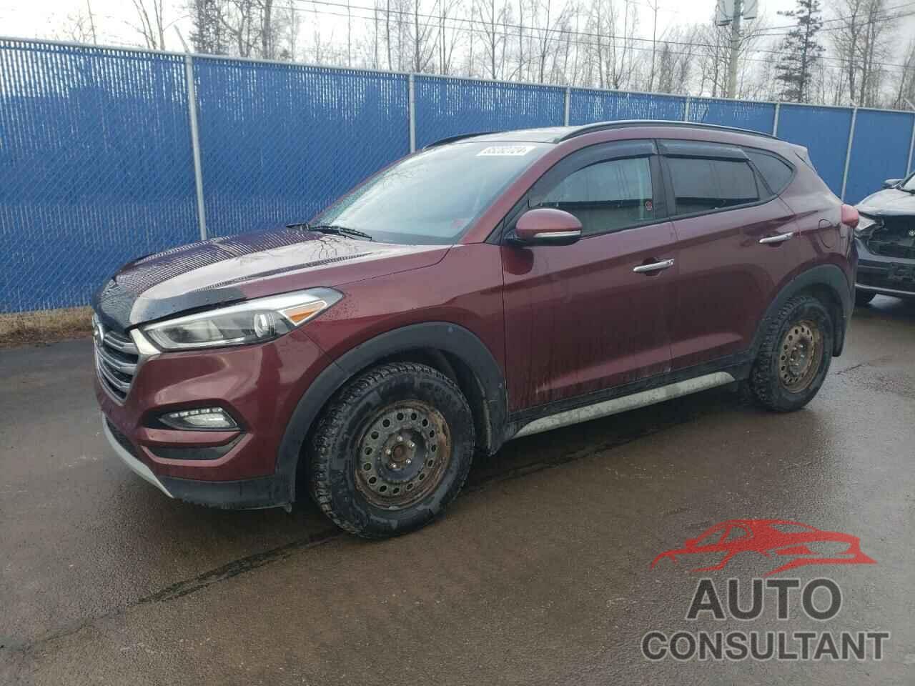 HYUNDAI TUCSON 2017 - KM8J3CA25HU518425