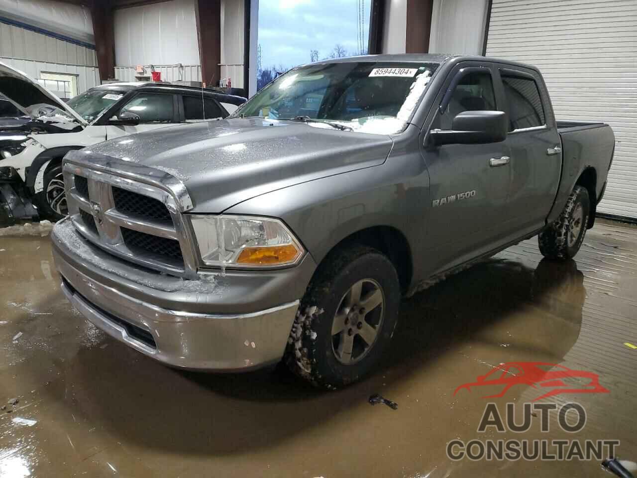 DODGE All Models 2011 - 1D7RV1CP9BS517091