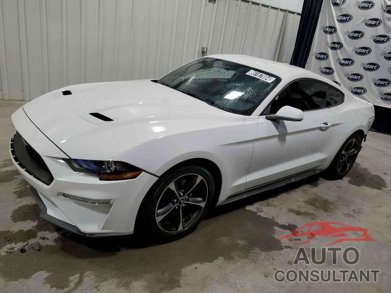 FORD ALL Models 2019 - 1FA6P8TH0K5157352