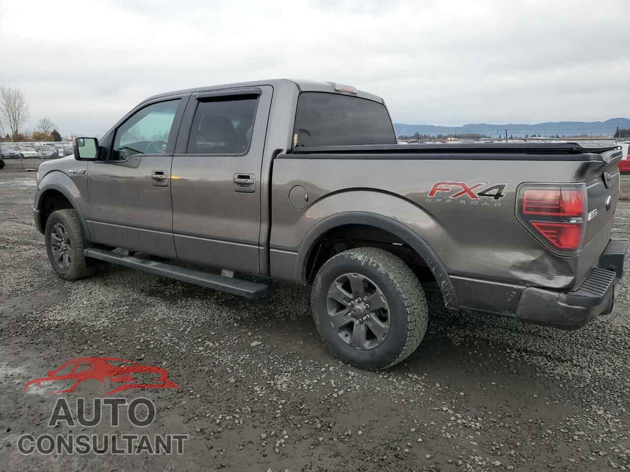 FORD F-150 2013 - 1FTFW1EF2DFD86273