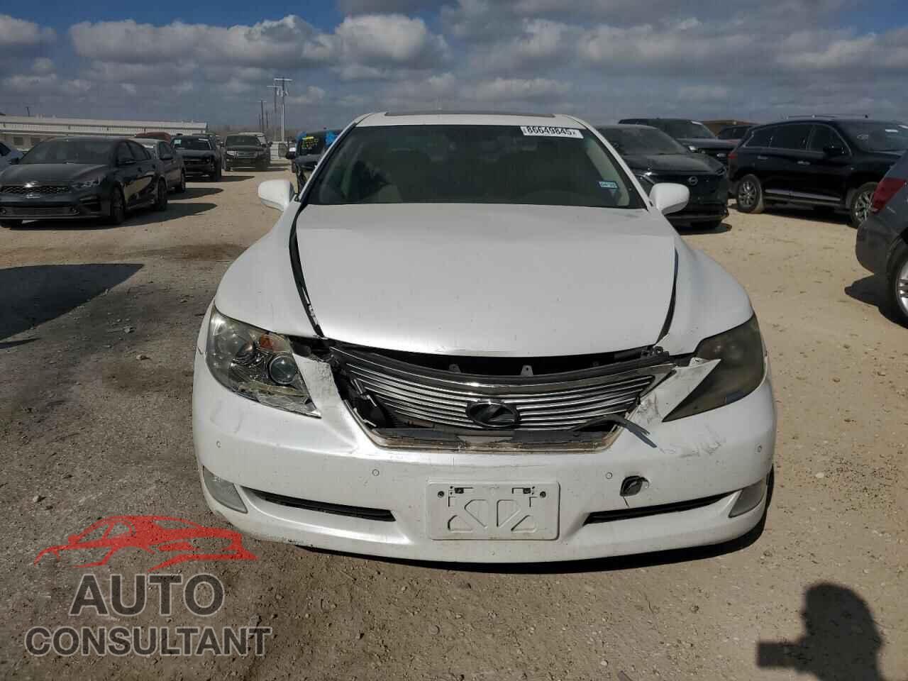 LEXUS LS460 2009 - JTHBL46F395091461
