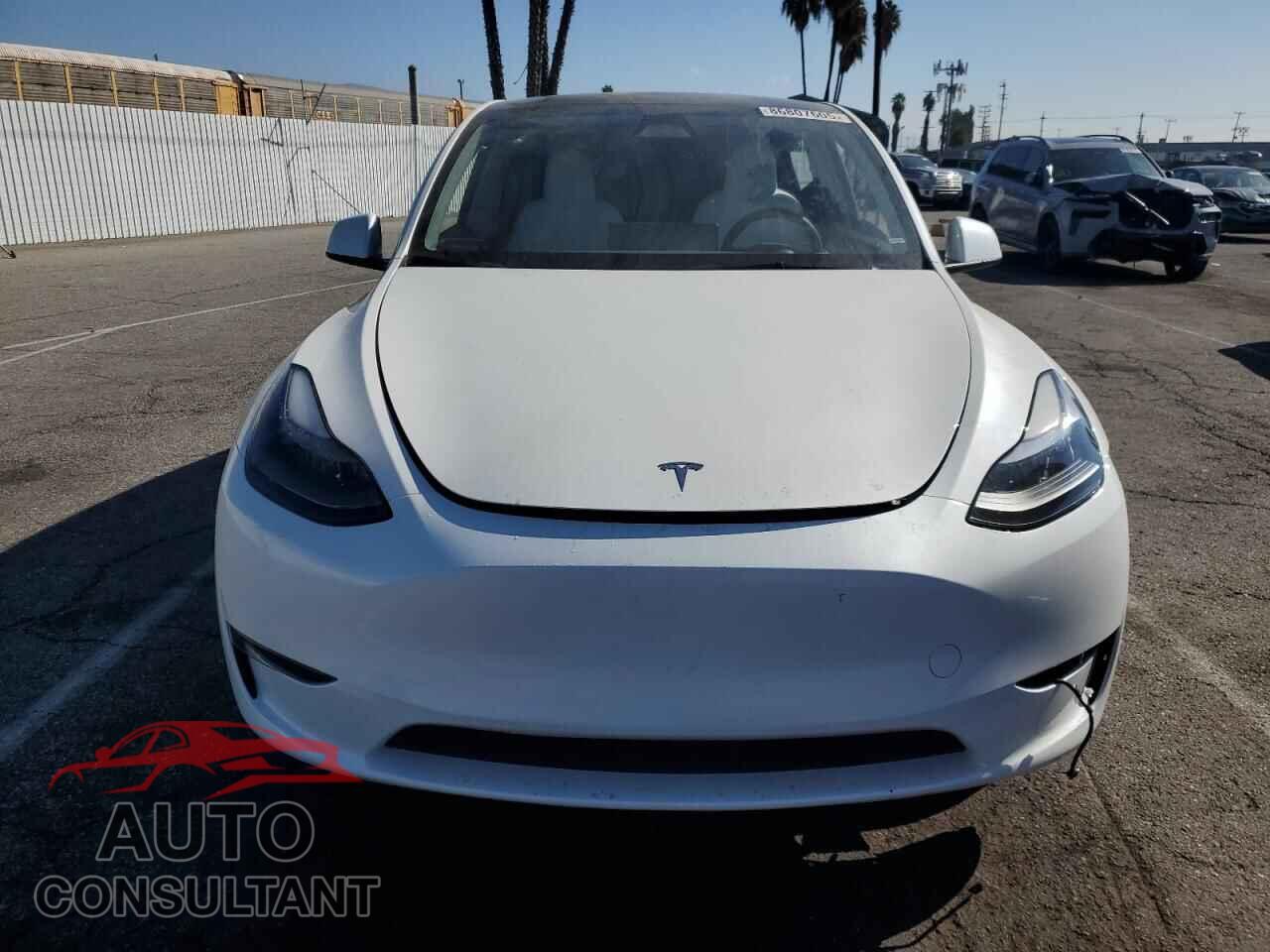 TESLA MODEL Y 2024 - 7SAYGDEEXRF065871