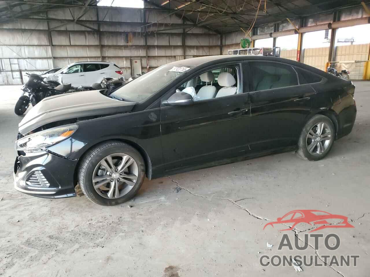 HYUNDAI SONATA 2019 - 5NPE34AF4KH745511