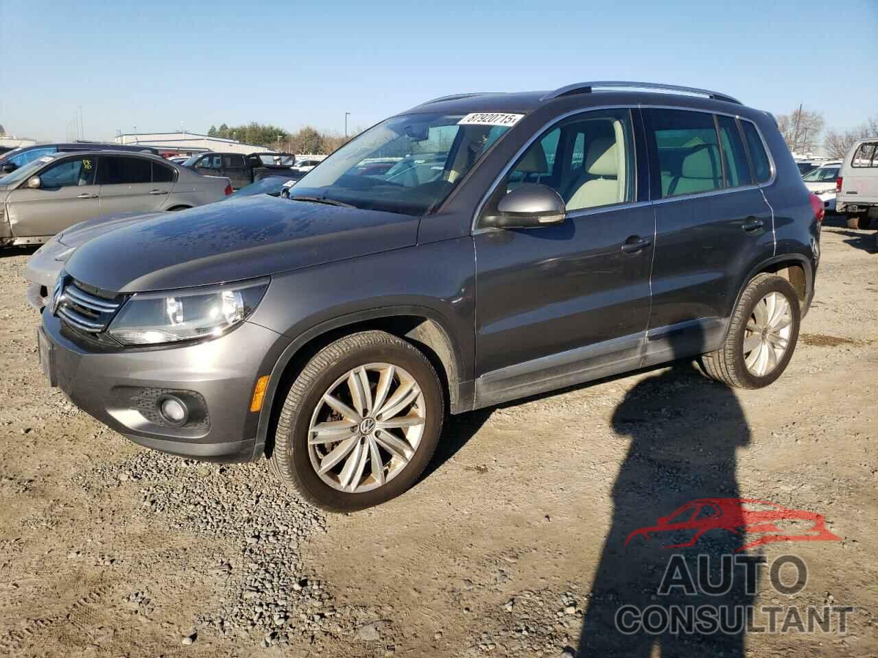 VOLKSWAGEN TIGUAN 2013 - WVGBV3AXXDW609831