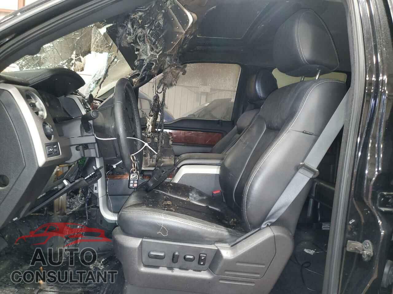 FORD F-150 2010 - 1FTFW1EV8AFD22015